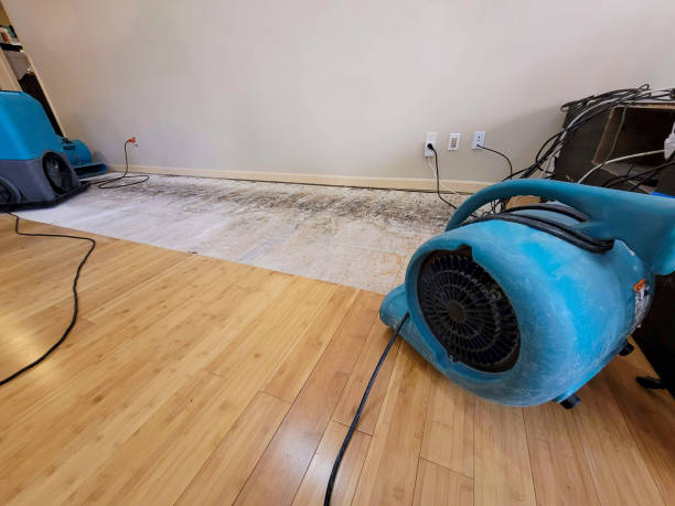 Professional Burst Pipe Water Damage technician working in Kelso, TN